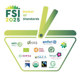 fsi 1