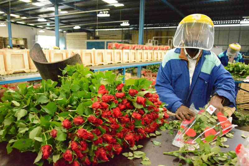 Tough Regime for Flowers, Vegetable Farmers in New Bill