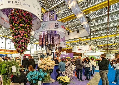 Record Number of Flower Growers at this year’s IFTF Expo!