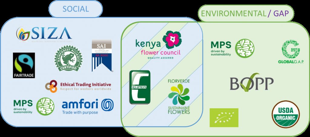 The Importance of Certifications in Tapping into Challenging Export Markets.