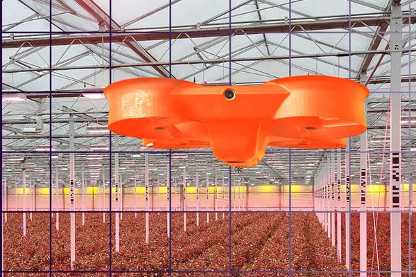 A 90% Accuracy Rate in Predicting Rose Yields Using Drone Technology