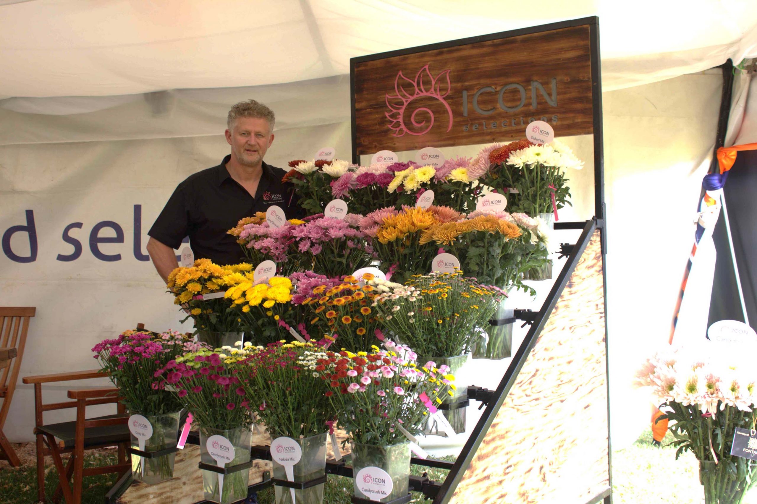 Icon Selections Breeding Success in Flower Growing