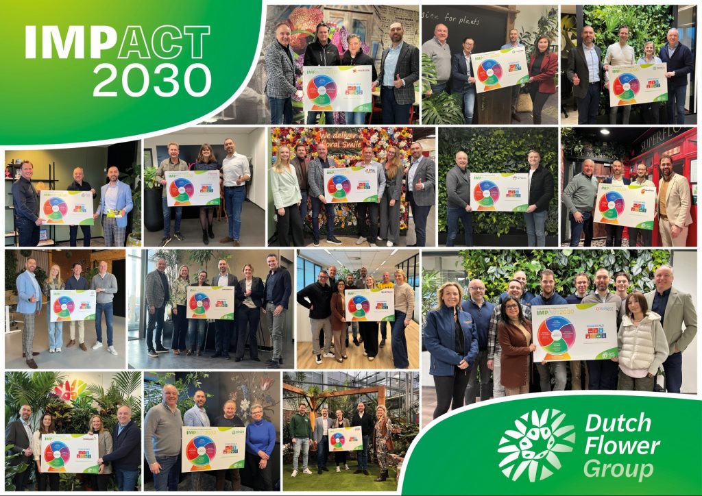 Dutch Flower Group Launches Renewed Sustainability Strategy IMPACT2030