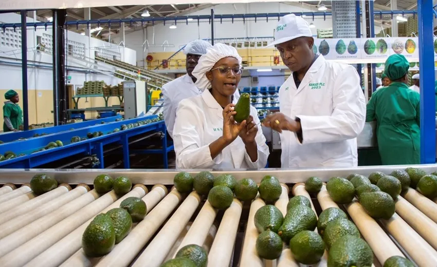 Kakuzi Expands Fresh Produce Growth and Strengthens Agribusiness in Kenya