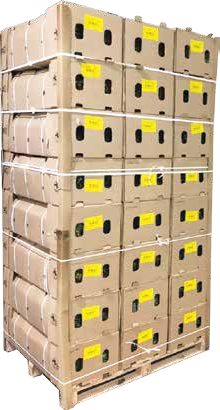 Cartons Counting the Cost