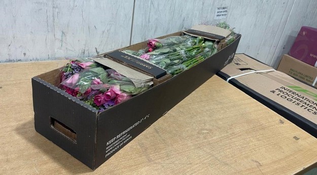 Flower Freight, the Cargolite Way