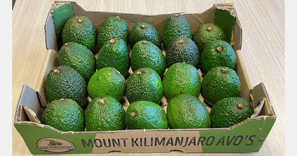 Tanzania’s Avocado Sector Rises with Global Market Demand