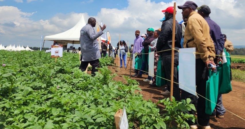 Kenya to Host 13th World Potato Congress in 2026