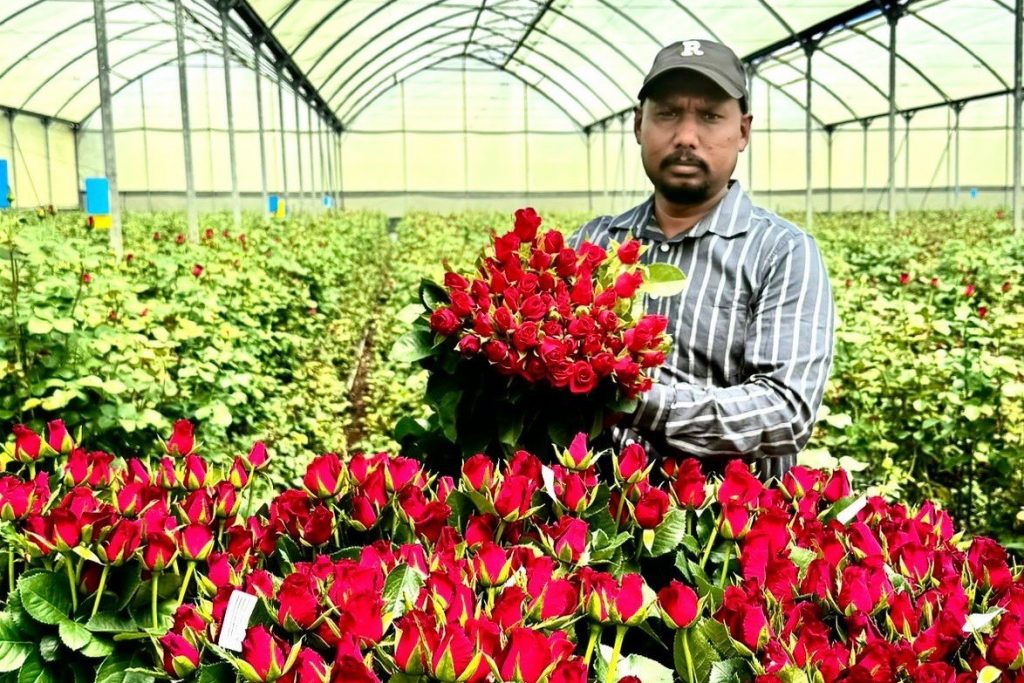 Floriculture is blooming with Innovation