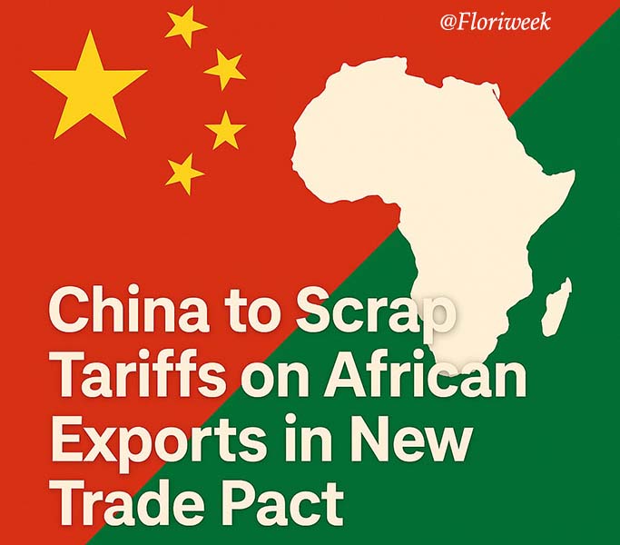 China to Scrap Tariffs on African Exports in New Trade Pact