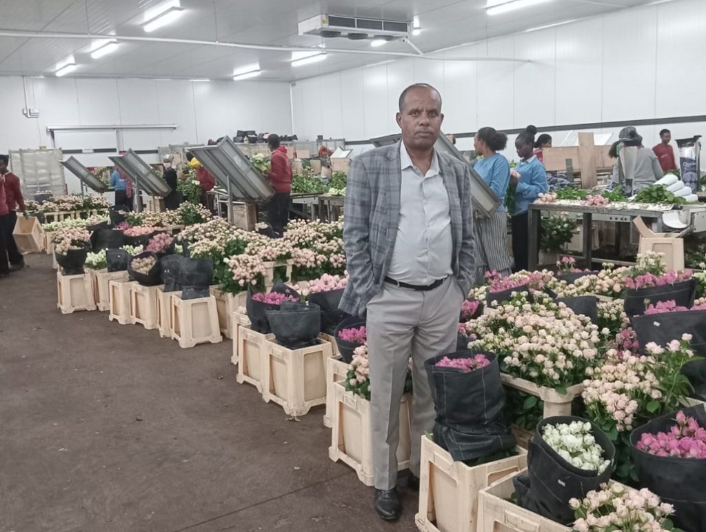 Will ocean Freight Substitute Air Cargo in Ethiopia?