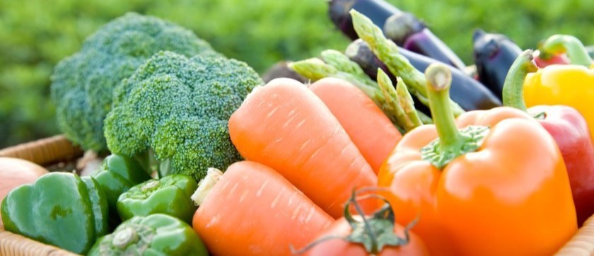 Kenya’s Horticulture Export Earnings Drop Despite Higher Volumes