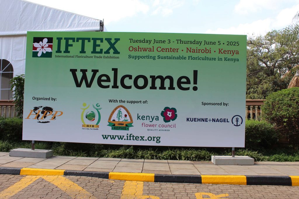 Breeders shine at IFTEX