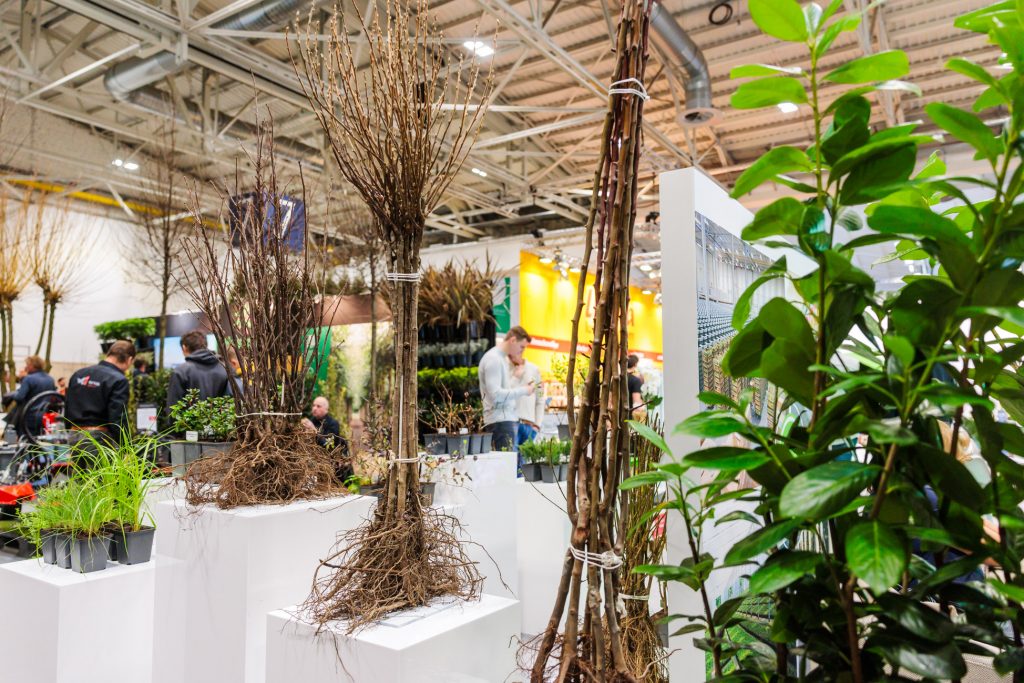 New “Wood Arena” Presents Solutions for Climate Change