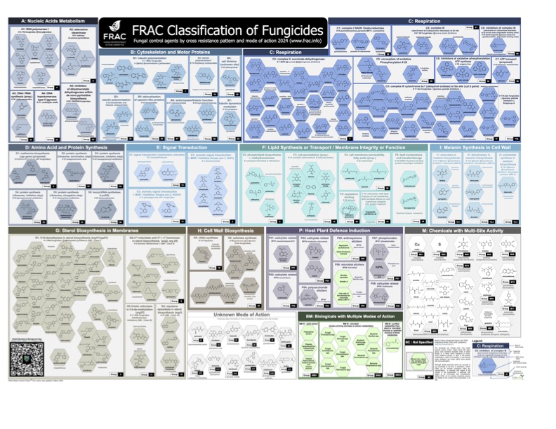 Overview of Primary Modes of Action for Fungicides