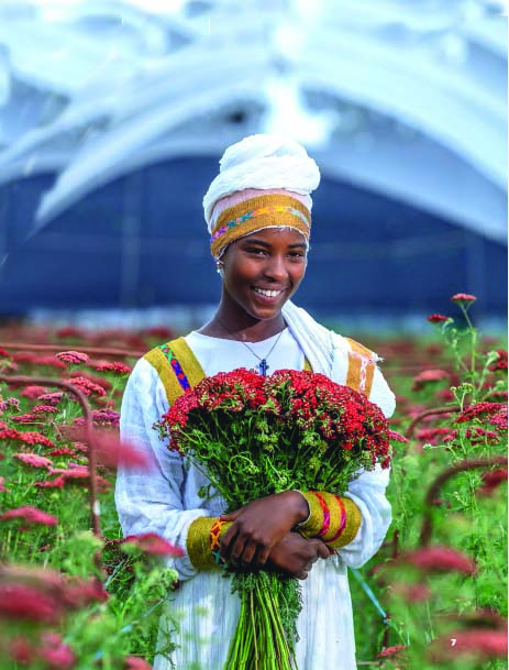 Floriculture sector sees increasing regulatory pressure as the biggest challenge for growers