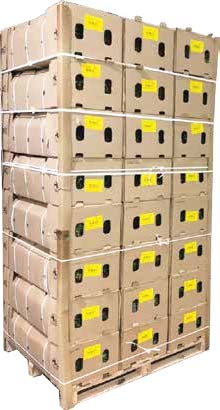 New Packaging Taxes Affect Kenya’s Export Market