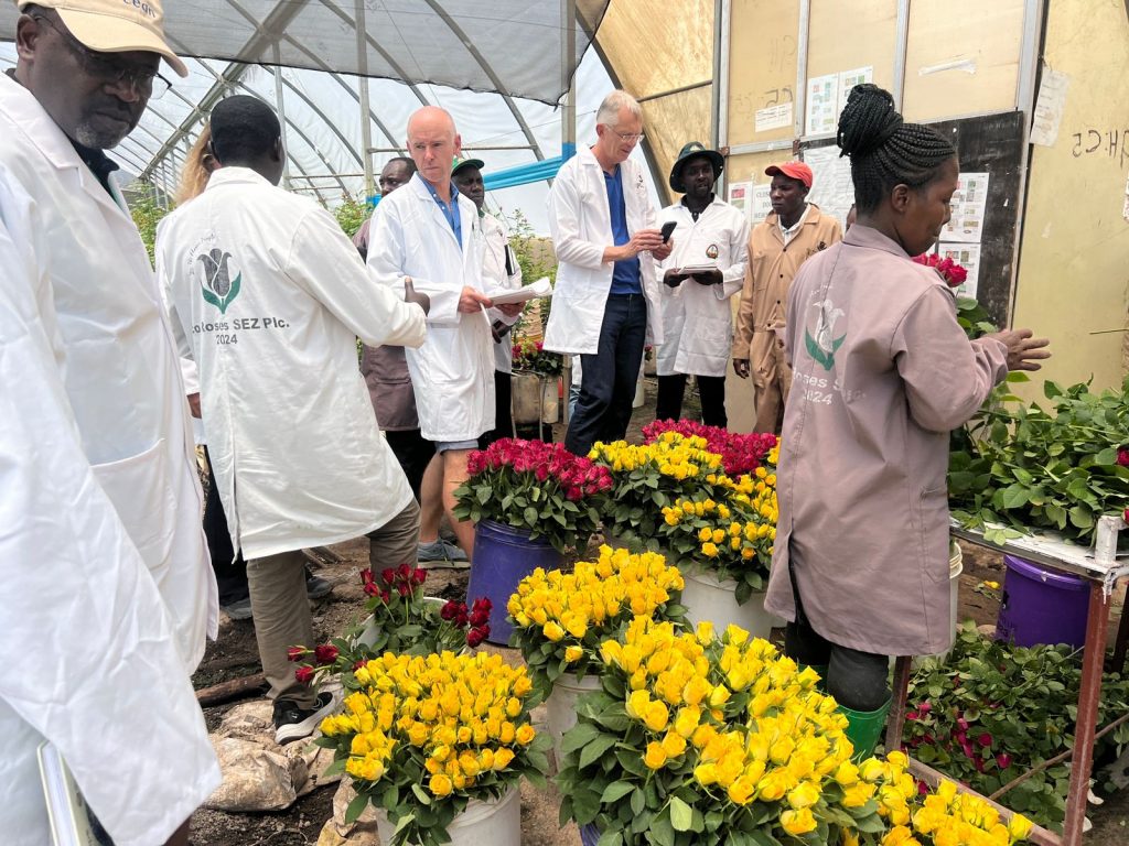 EU Audits Kenya’s Phytosanitary Controls