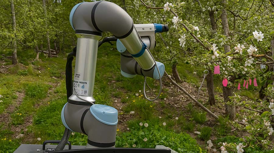 Precision Pollination in Controlled Agriculture through Innovative Vision-Guided Robot