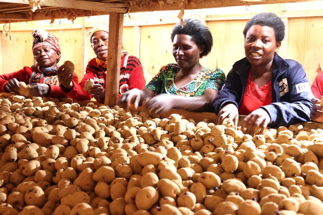 A New Era of Market Freedom in Rwanda after End of Price Controls on Farm Produce