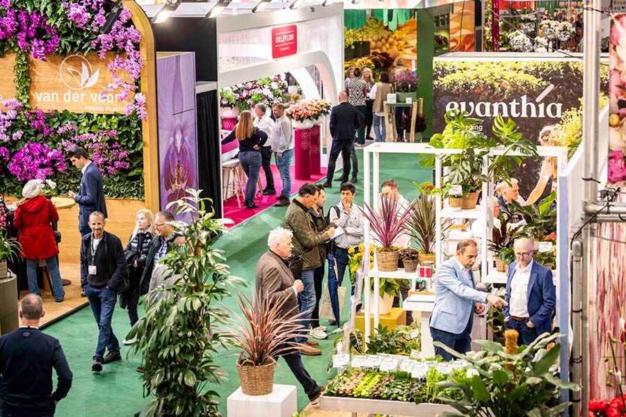 Why You Must Be at the Aalsmeer Flower Show