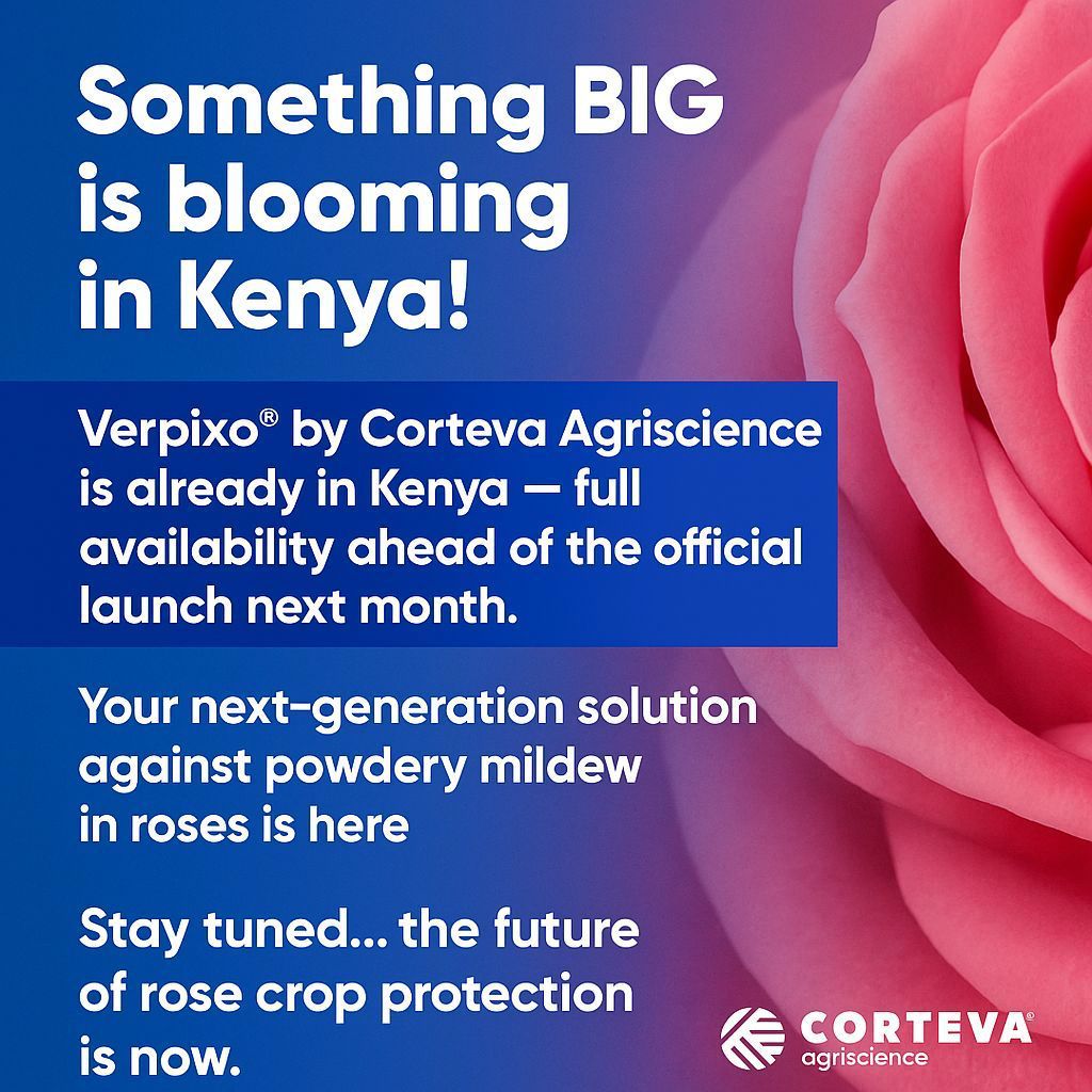 Keeping Roses Healthy in a Changing Market