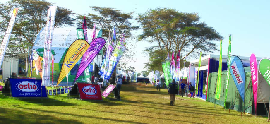 Trade Fairs Lighting the Path to a Sustainable Future