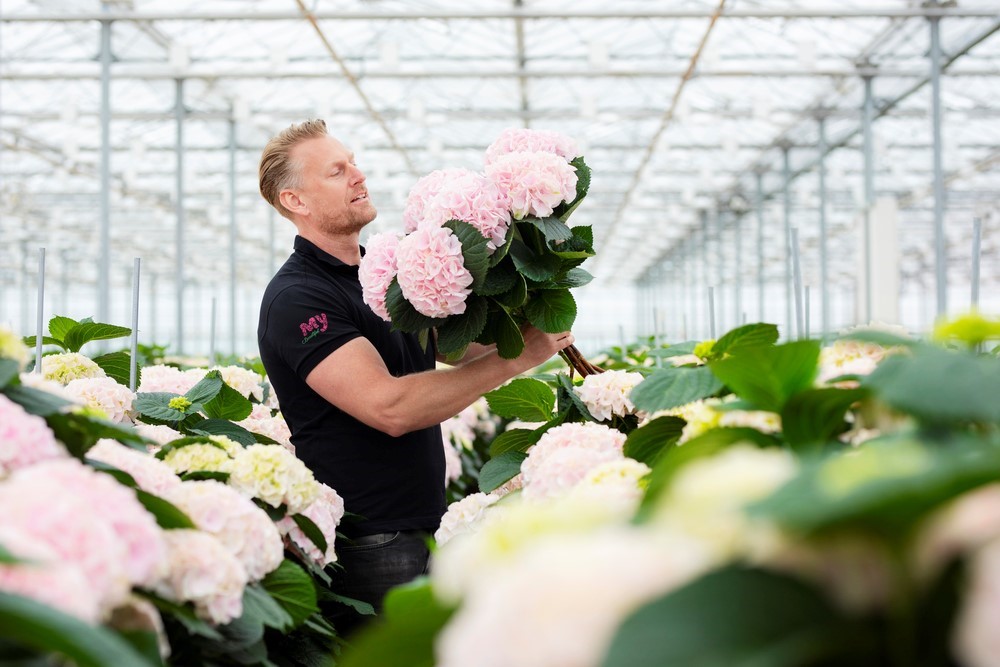 Growers are Aware of the Environmental Impact of Crop Protection: Sector Wants to Make More Use of Green Alternatives  