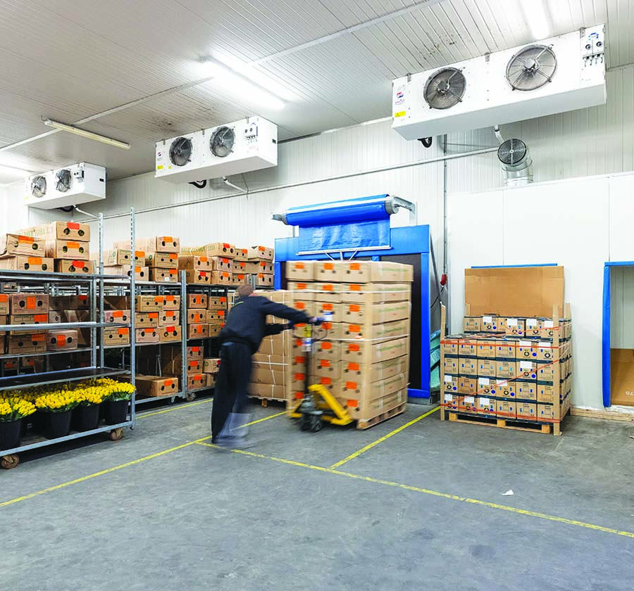 Flower Quality Begins and Ends With Temperature