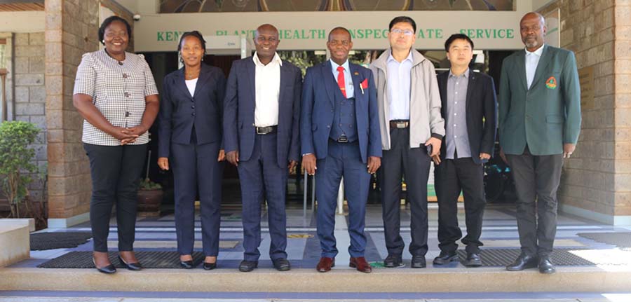 KEPHIS Hosts Chinese Delegation to Strengthen Kenya-China Avocado Trade