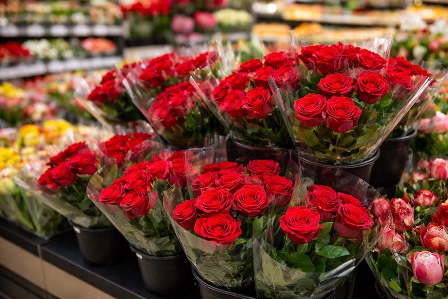 Do Kenyan Roses Really Need Influencers?