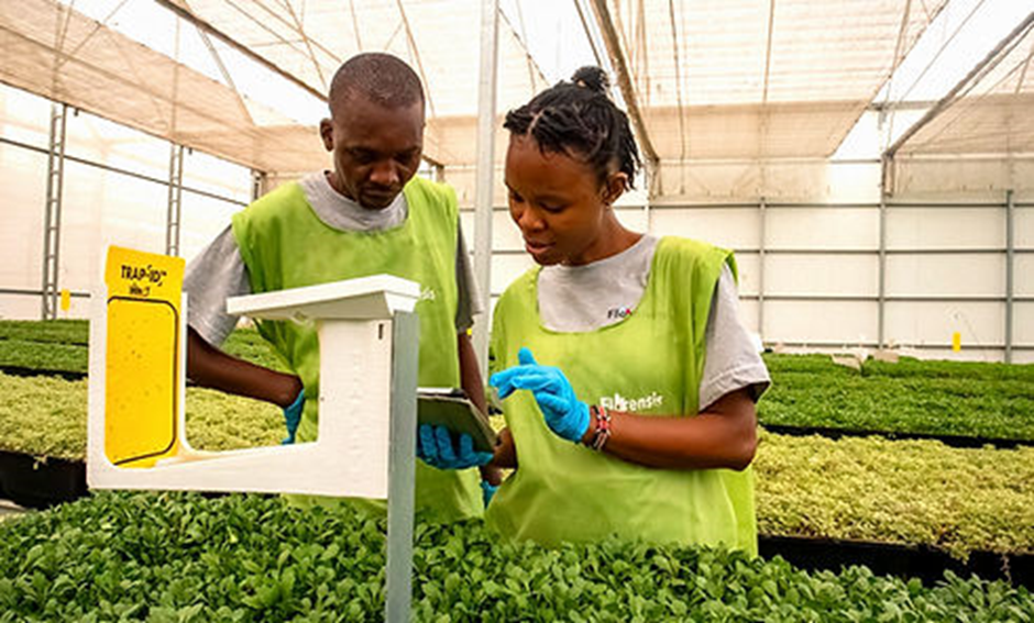 Florensis Kenya: Expands its Monitoring Approach with Trap-Eye™