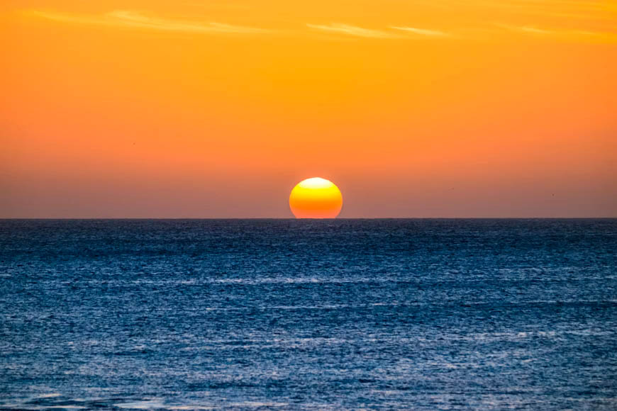 Harnessing the Sun: Why Kenyan Flower Farms Should Embrace Solar Energy