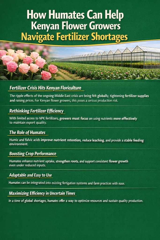 How Humates Can Help Kenyan Flower Growers Navigate Fertilizer Shortages