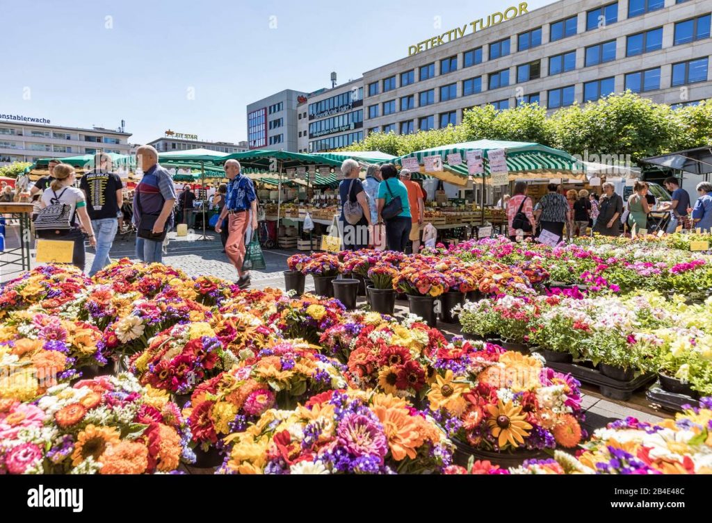 Growing Germany: Kenya’s Next Big Flower Market Opportunity